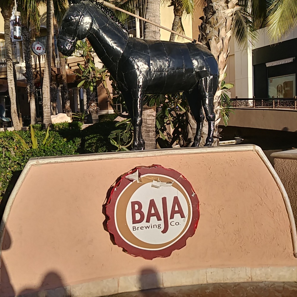 Meet your Posher, Sheilla